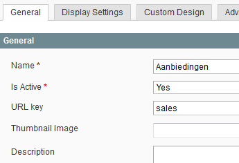 General properties of a category in Magento CMS